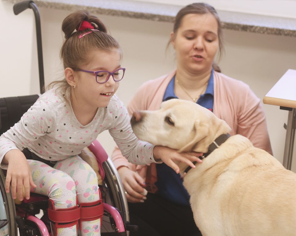 Terapia z udziałem psa w Kolorowej Szkole w Łodzi